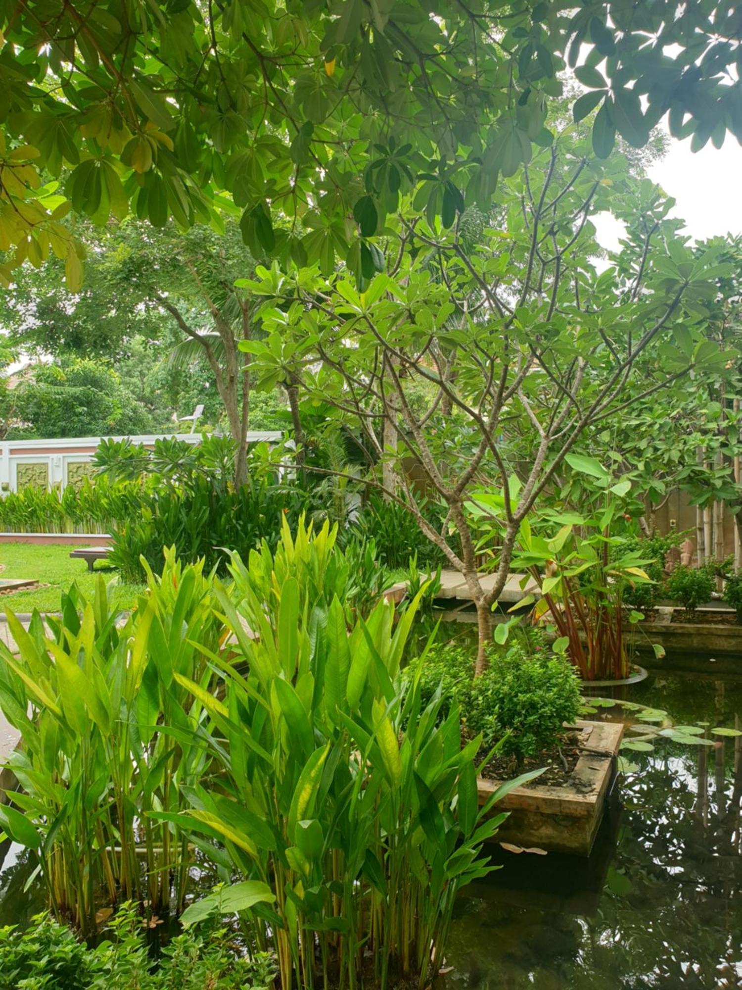 Bamboo Retreat Villa Ciudad de Siem Riep Exterior foto